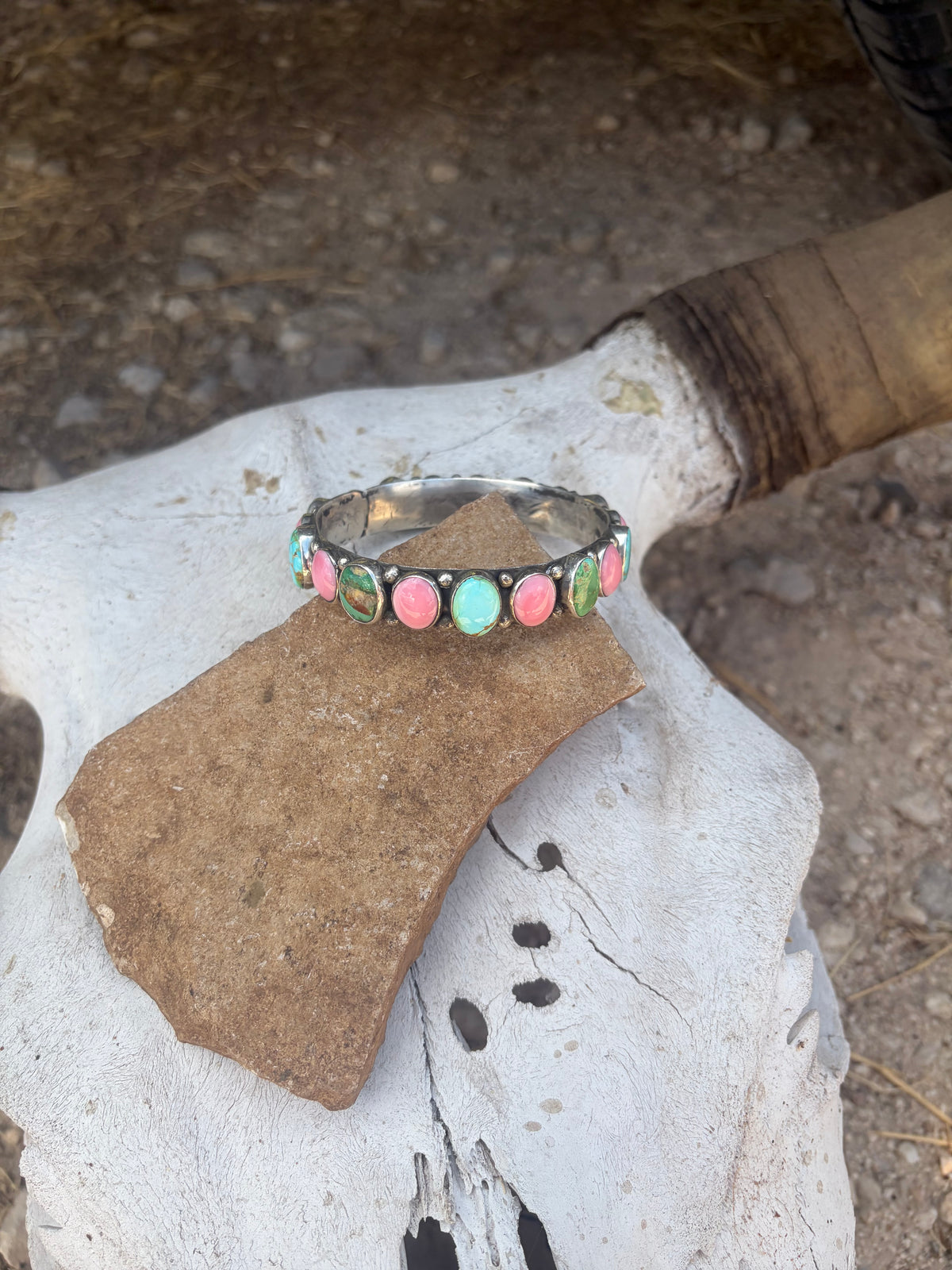 Pink Conch and Sonoran Gold