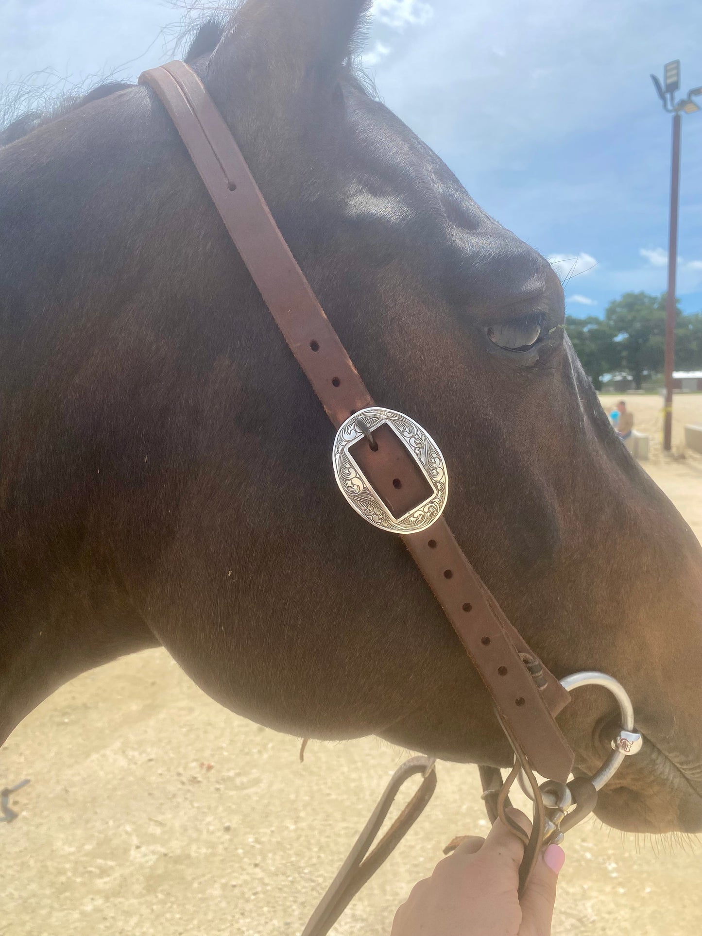 Engraved Headstall buckle + headstall