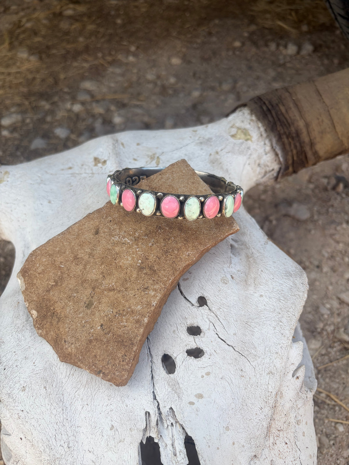 Paloma and Pink Conch