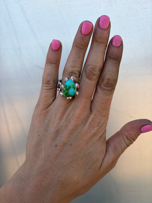 Sonoran Gold and Pink Conch